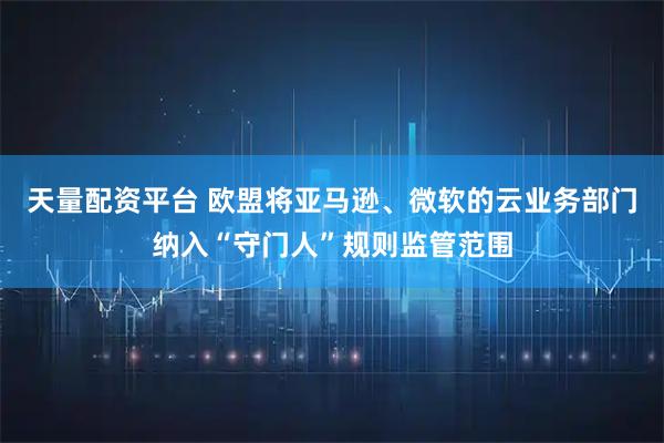 天量配资平台 欧盟将亚马逊、微软的云业务部门纳入“守门人”规则监管范围